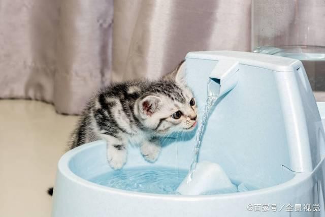 猫不爱喝水，可能是猫咪的全自动饮水机漏电！漏电