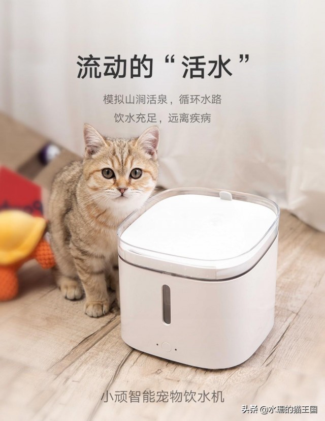 【评价】小顽智能宠物饮水机，安全第一，引领智能宠物家居新潮流